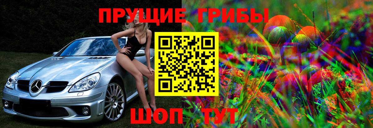 Псилоцибиновые грибы Psilocybine cubensis  Галлюциногенные грибы GOLDEN TEACHER  Ессентуки  Вход с VPN 
